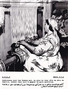 Algerie propagande 066